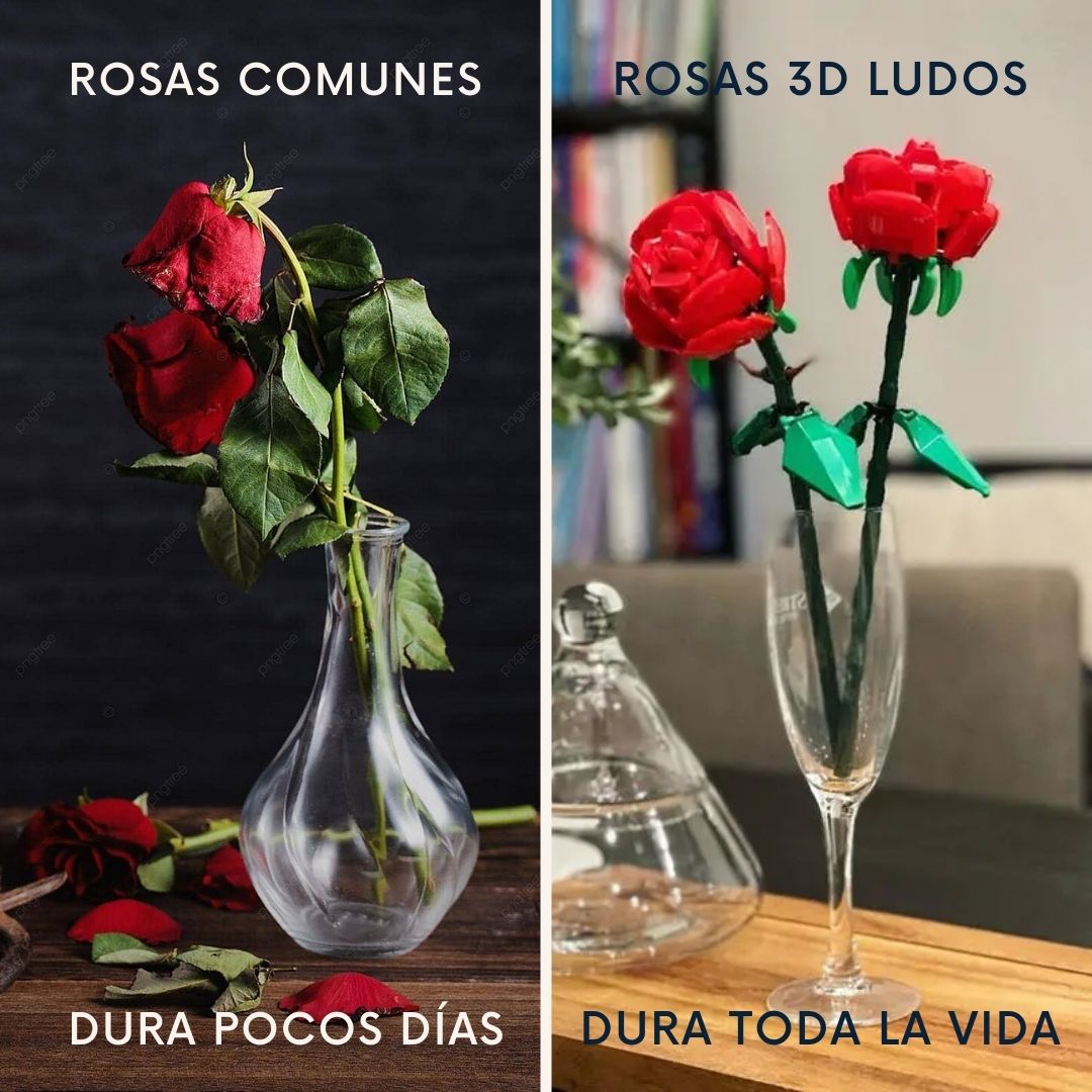 Rosas 3D de bloques